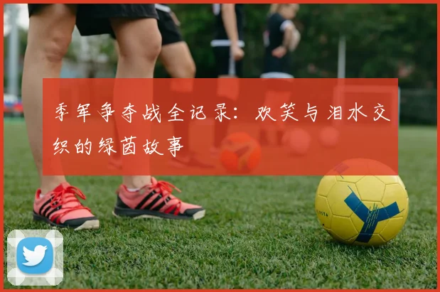 季军争夺战全记录:欢笑与泪水交织的绿茵故事