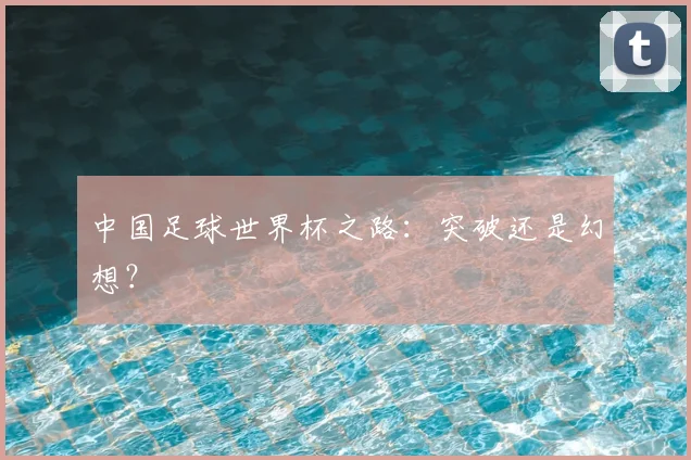 中国足球世界杯之路:突破还是幻想?