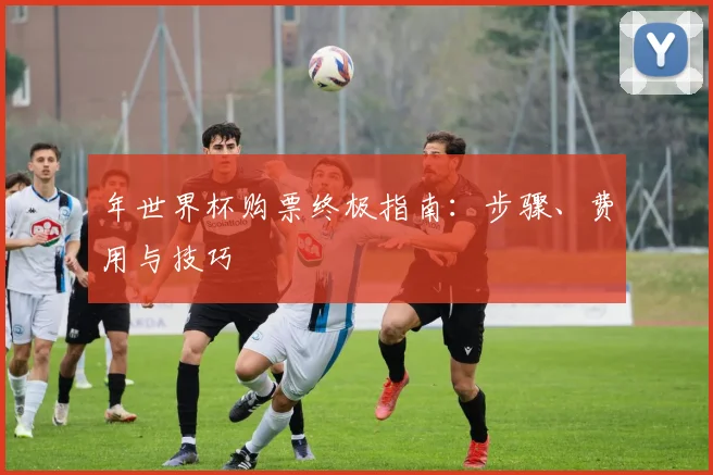 年世界杯购票终极指南：步骤、费用与技巧