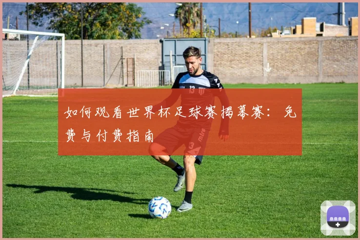 如何观看世界杯足球赛揭幕赛：免费与付费指南