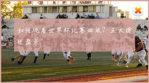 如何观看世界杯比赛回放？五大途径盘点