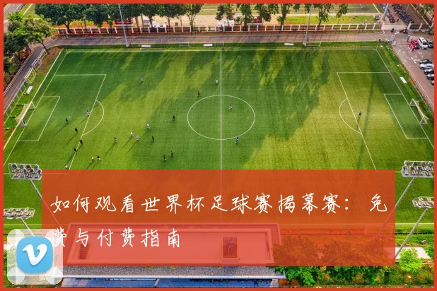 如何观看世界杯足球赛揭幕赛：免费与付费指南