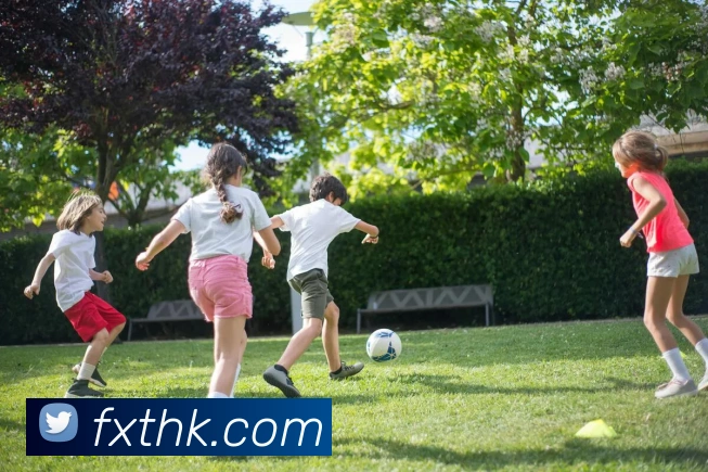 华体官网登录APP 封面图